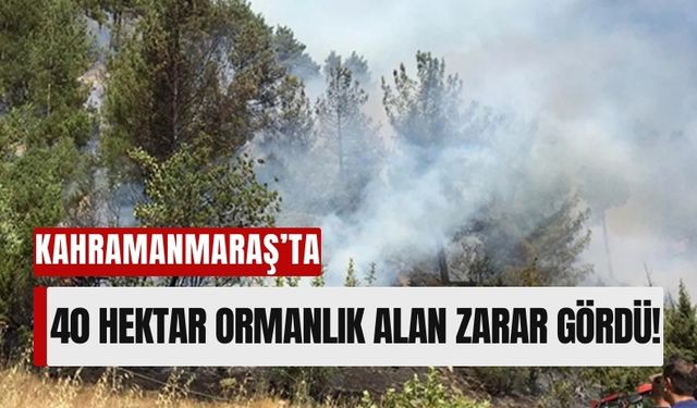 Kahramanmaraş'ta Orman Yangını 3 Gün Sürdü: 40 Hektar Kül Oldu!