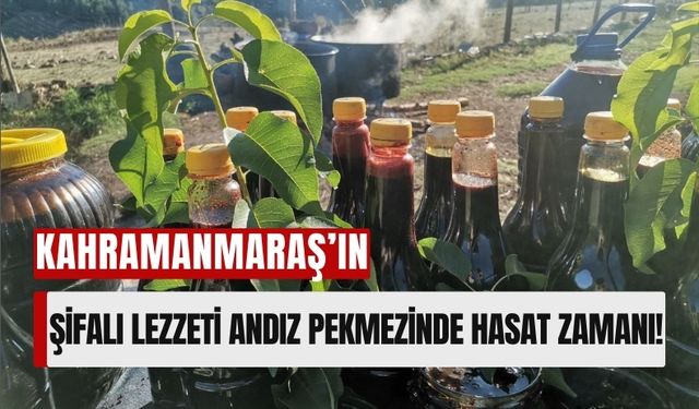 Kahramanmaraş'ın Tescilli Pekmezinin Üretimi Başladı!