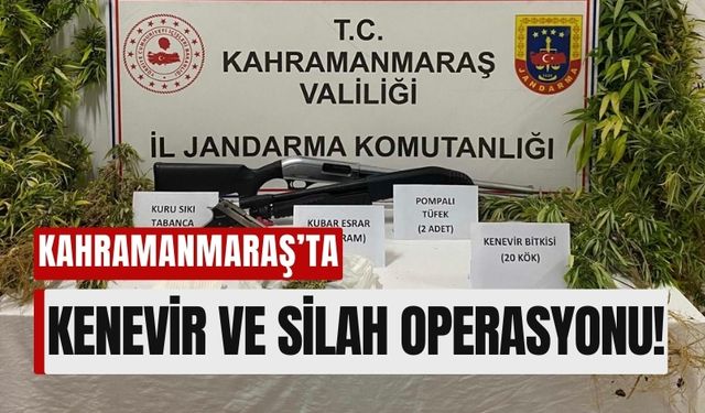 Kahramanmaraş'ta Kenevir Operasyonu: 20 Kök Kenevir ve Silahlarla Yakalandı!