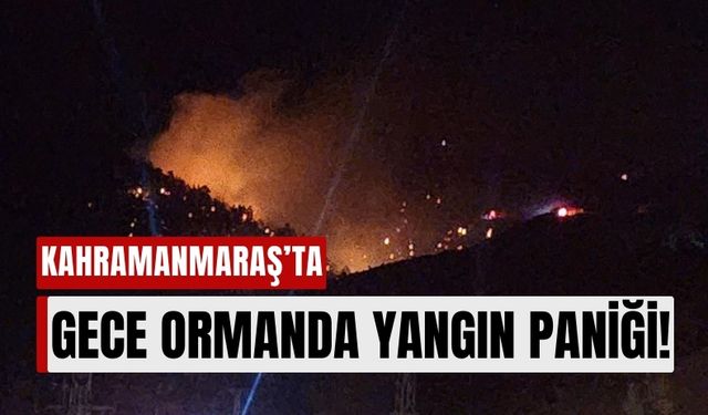 Kahramanmaraş Onikişubat'ta Orman Yangını: Alevler Korkuttu!