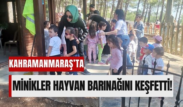 Kahramanmaraş'ta İlkokul Öğrencilerinden Hayvanlara Sevgi Eli!