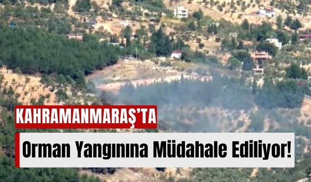 Kahramanmaraş'ta Orman Yangını: Pınarbaşı Mahallesi Alevlerle Mücadele Ediyor!