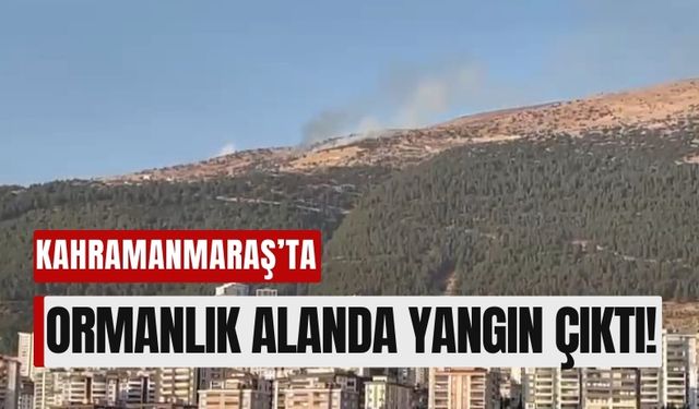 Kahramanmaraş Adliyesi Arkasında Alevler Yükseldi!