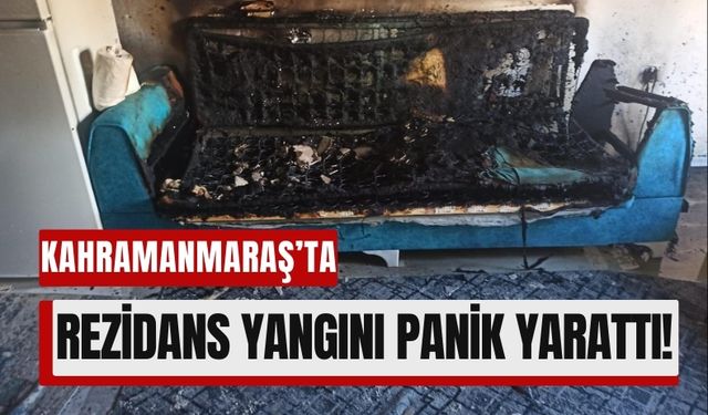 Kahramanmaraş'ta Rezidans Yangını: Bir Kedi Kurtarıldı, Diğeri Telef Oldu!