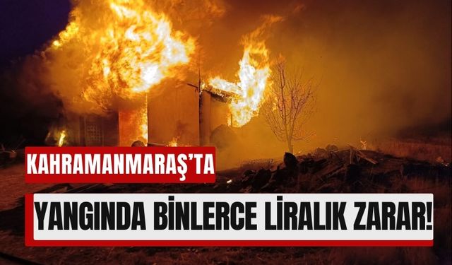 Kahramanmaraş'ta Depo Yangını Felaketi: Büyük Maddi Kayıp!