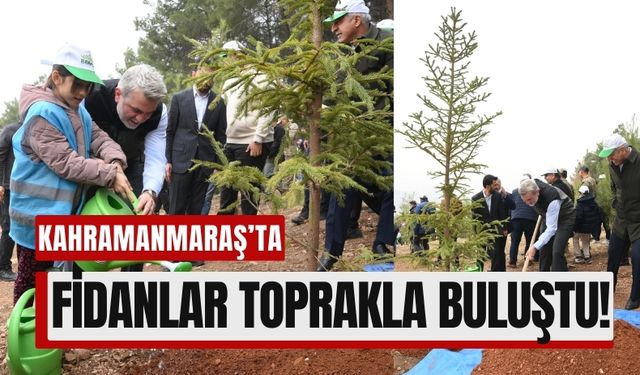 11 Kasım Milli Ağaçlandırma Günü'nde Kahramanmaraş Yeşile Doydu!