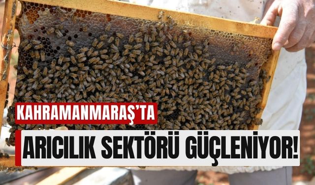 Kahramanmaraş'ta 2.2 Milyon TL Değerinde Arılı Kovan Desteği!