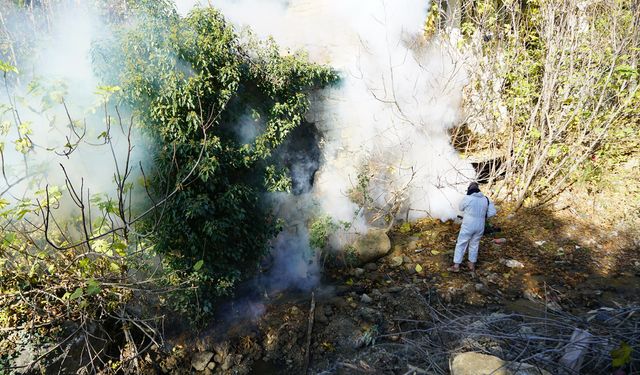 Kahramanmaraş Ilıca’da Zararlı Haşere Mücadelesi Başladı!