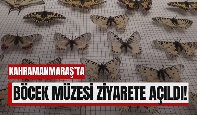 Kahramanmaraş'ta Böcek Müzesi Açıldı