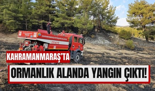 Kahramanmaraş'ta Ormandan Dumanlar Yükseldi, İtfaiye Yetişti!