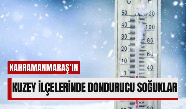 Göksun, Kahramanmaraş'ta Soğuk Hava Rekorunu Kırdı