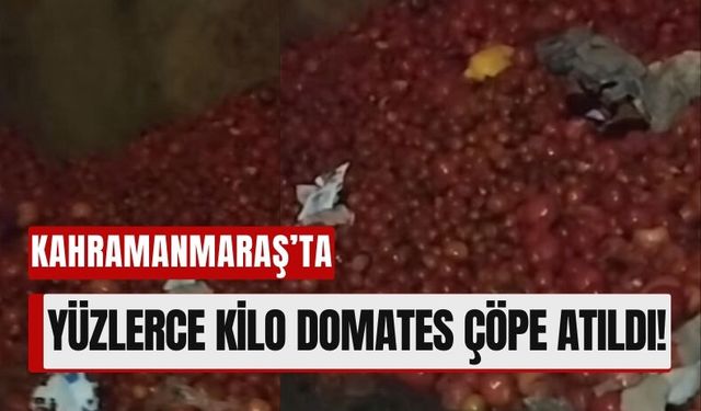 Kahramanmaraş'ta Kasa Kasa Domates Çöpe: İsraf Tepki Topladı