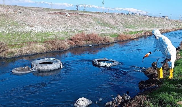 Kahramanmaraş'ta Sivrisineklere Karşı Etkili Önlemler!