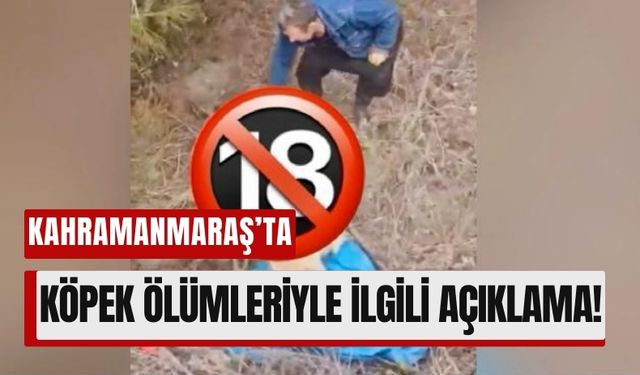 Kahramanmaraş'ta Köpek Ölümleri İçin Belediye Harekete Geçti!