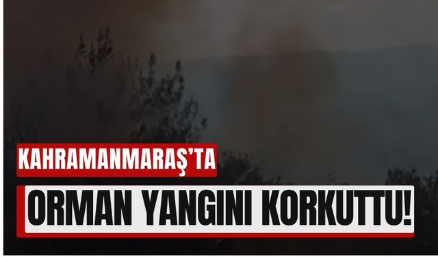 Kahramanmaraş’ta Yangın Alarmı! Ormanlık Alan Alevlere Teslim Oldu