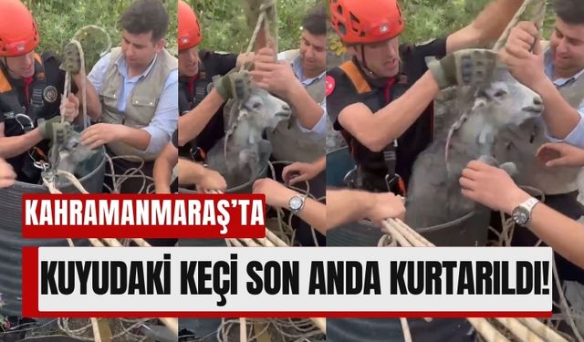 Kahramanmaraş'ta Açık Kuyuda Mahsur Kalan Keçi Kurtarıldı!