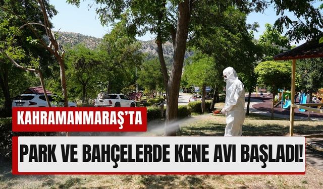 Kahramanmaraş’ta Kene Alarmı: Parklarda İlaçlama Başladı!