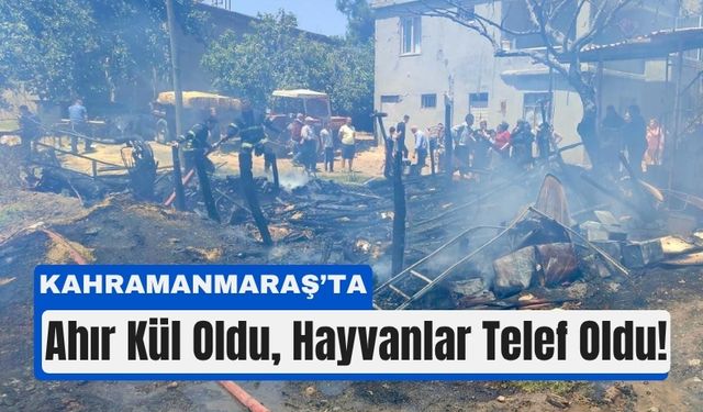 Kahramanmaraş’ta Yangın Kabusu: 30 Hayvan Telef Oldu!