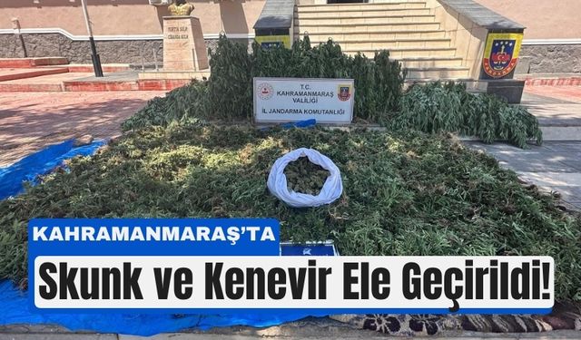 Kahramanmaraş’ta Zehir Tarlasına Baskın!