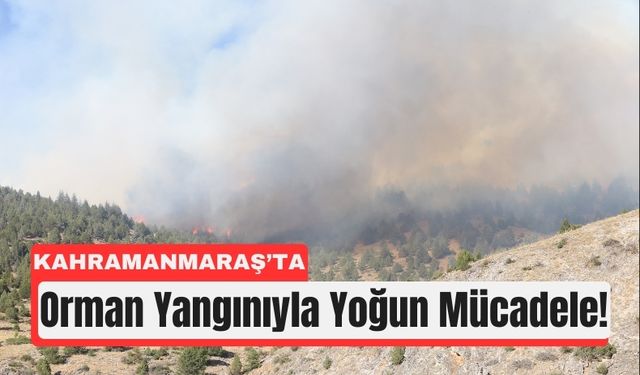 Kahramanmaraş’ta Alevlerle Mücadele İkinci Gününde!