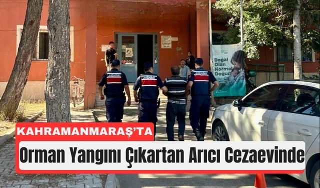 Kahramanmaraş'ta Orman Yangınında Sorumlu Arıcı Tutuklandı!