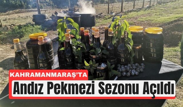 Kahramanmaraş’ın Şifa Mirası: Andız Pekmezi