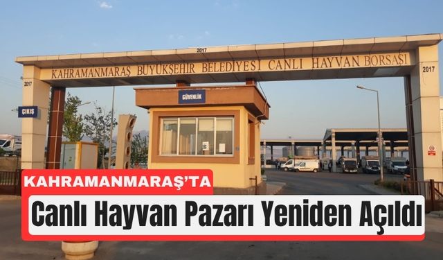Kahramanmaraşlı Üreticiler Pazara Geri Döndü