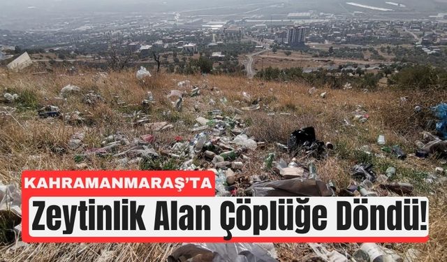 Kahramanmaraş’ta Zeytinlik Çöp Yığınına Döndü!