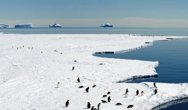 Dünyanın En Büyük Çölü Hangisidir? Cevap Şaşırtıyor
