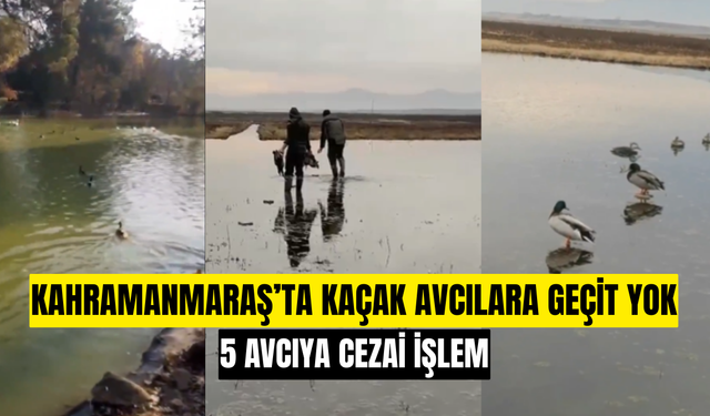 Kahramanmaraş’ta Kaçak Avcılara Geçit Yok: 5 Avcıya Cezai İşlem