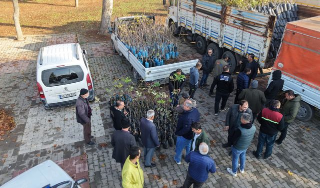 Kahramanmaraş’ta Yüzde 50 Hibeli Fidan Desteği Başladı