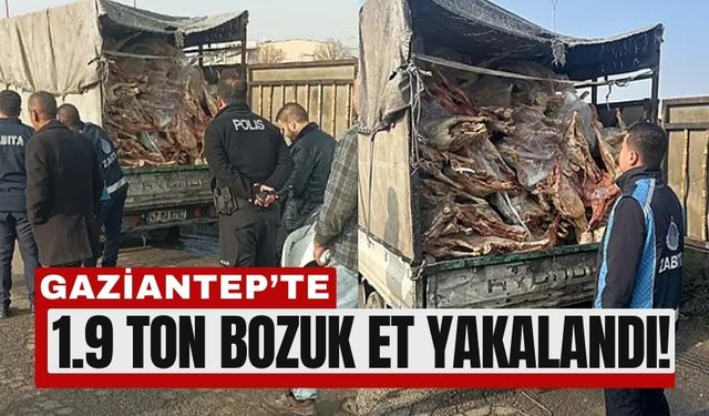 Gaziantep'te Yaklaşık 2 Ton Çürük Et Yakalandı!