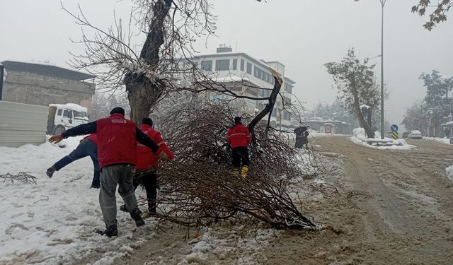 Kahramanmaraş'ta Karın Ağırlığı Dalları Kırdı