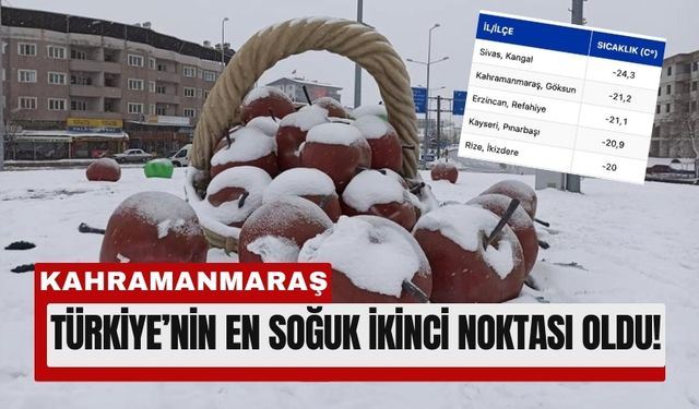 Kahramanmaraş’ta Sibirya Gecesi: Göksun -21,2 Dereceyi Gördü