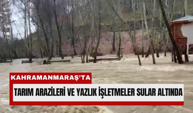 Kahramanmaraş’ta Sağanak Felaketi: Tarlalar Sular Altında!