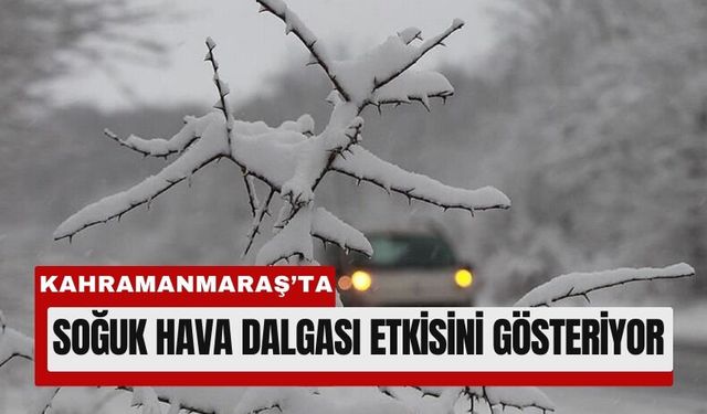 Kahramanmaraş’ta 4 Günlük Don Alarmı!