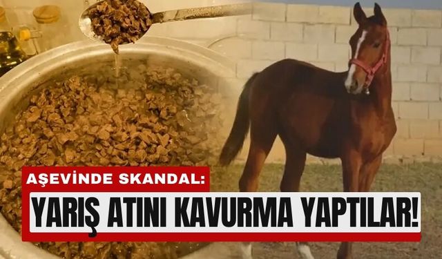 Mersin’de Aşevinde Büyük Skandal: Kavurmadan Yarış Atı Eti Çıktı!
