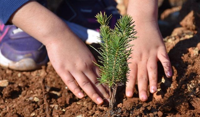 Kahramanmaraş Şehitleri İçin İstanbul’da 1000 Fidan Toprakla Buluştu