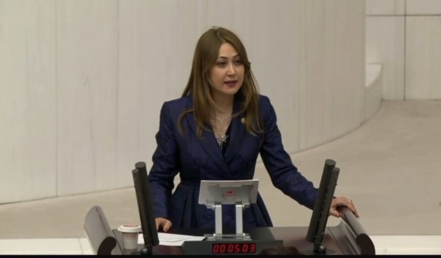 Milletvekili Karakoç’tan TBMM’de Net Mesaj: 'Çocuklarımızın Güvenliği Millî Meseledir'