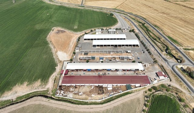 Kahramanmaraş’ta Kurban Satış Yerleri İçin Başvurular Başladı