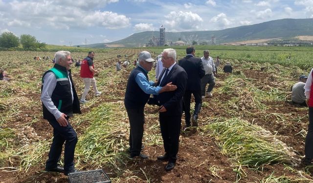 Kahramanmaraş Pazarcık’ta Sarımsak Hasadıyla Çiftçiler Günü Kutlandı