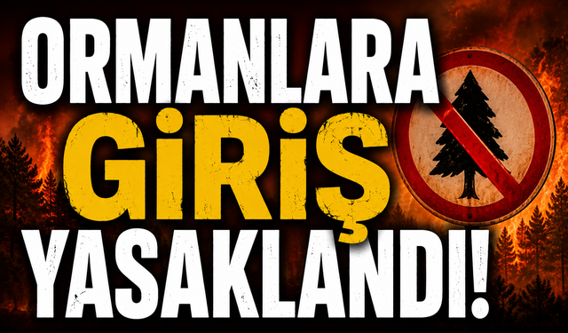 Kahramanmaraş'ta 8 Haziran’dan Sonra Ormana Girmek Yasak