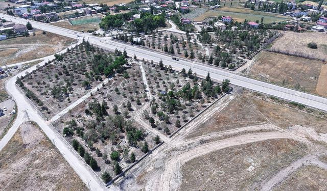 Kahramanmaraş’ta 736 Mezarlık İçin Dev Bakım Seferberliği
