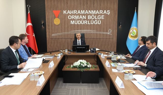 Kahramanmaraş'ta Orman Yangınları İçin Alarm Seviyesi Yükseldi