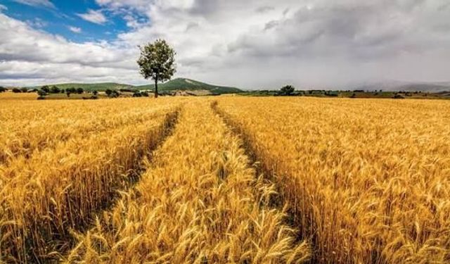 Kahramanmaraş’a Tarihi Destek: 216 Milyon TL’lik Hibe Onayı