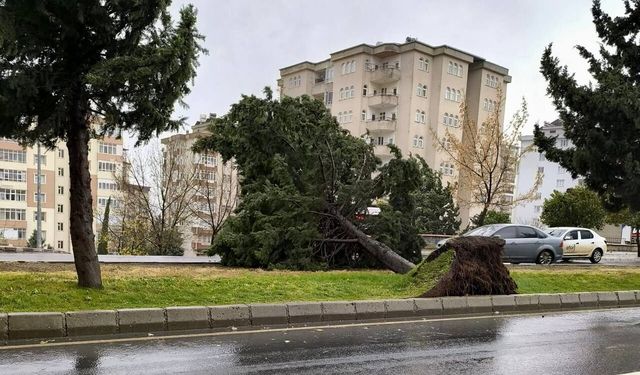 Çatı Uçması ve Ağaç Devrilmesi Riski! Kahramanmaraş İçin Uyarı