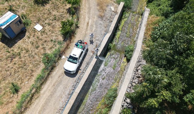 Kahramanmaraş’ta Yaz Mesaisi: 60 Araçla Sivrisinek Mücadelesi