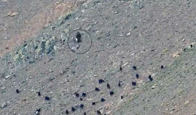 Kahramanmaraş’ta Hayvanlarını Aramak İçin Dağa Çıktı, Kayboldu!