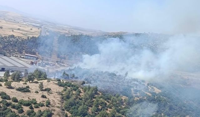 Kahramanmaraş’ta Orman Yangını: 2 Helikopter ve 7 Arazöz Sevk Edildi