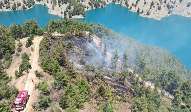 Kahramanmaraş’ta Ormanda Alevler Yükseldi: 35 Personel Müdahale Etti